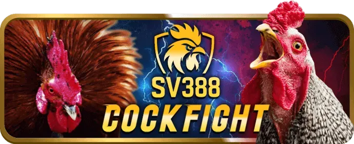 Giao diện danh mục game bài bkwin trên điện thoại